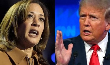 அமெரிக்க அதிபர் தேர்தல்.. இந்திய நேரப்படி எத்தனை மணிக்கு ரிசல்ட் வெளியாகும்? மாகாண வாரியாக லிஸ்ட்