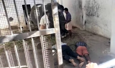 திருச்செந்தூர் முருகன் கோவில் யானை மிதித்து 2 பேர் பலி