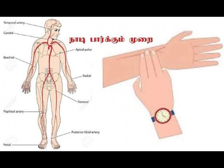சித்த மருத்துவத்தில் நோய் கணிப்பு முறைகள்