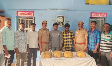 ஒடிசாவிலிருந்து திண்டுக்கல் மாவட்டத்திற்கு கஞ்சா கடத்தி வந்த இருவர் கைது.! கஞ்சா பறிமுதல்.!