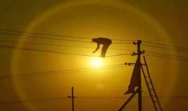 பாதை பராமரிப்பு பணி காரணமாக தமிழ்நாட்டில் நாளை மின்வெட்டு பகுதிகள் அறிவிப்பு.!