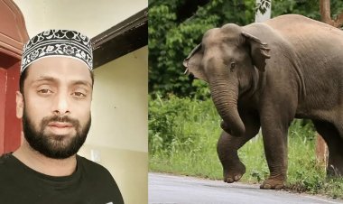 வேட்டையாட சென்ற இடத்தில் இளைஞர் பலி.! யானை மிதித்து கொன்றதாக நாடகமாடிய நண்பர்கள் 13 பேர் கைது.!