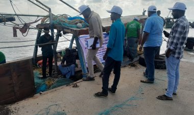 மல்லிப்பட்டினத்தில் கடல் ஆமை பிடிபடுவதை தடுக்கும் வண்ணம் வலைகளில் கருவி பொருத்தி பரிசோதனை.!