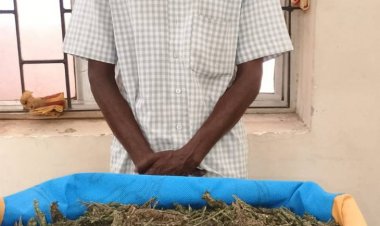 தூத்துக்குடி மாவட்டத்தில் விற்பனைக்காக கஞ்சா வைத்திருந்த நபர் கைது.!