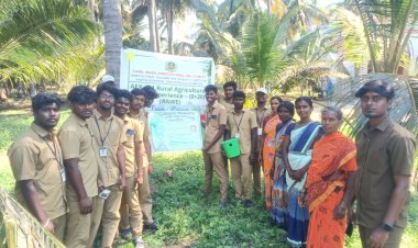 வேளாண்மைக் கல்லூரி மற்றும் ஆராய்ச்சி நிலையத்தில் பயின்று வரும் இறுதி ஆண்டு மாணவர்கள் இறுதியாண்டு விவசாய பயிற்சி.!