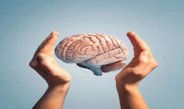 மூளை சுறு சுறுப்பாக இயங்க தேவையான வழிமுறைகள். !