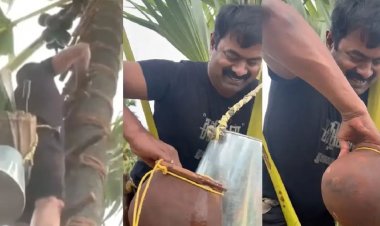 பனை மரம் ஏறி கள் இறக்கி அனைவருக்கும் கொடுத்து போராட்டம் நடத்திய சீமான். !