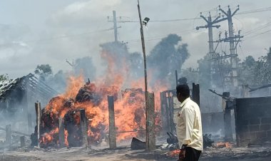 திடீரென தீப்பற்றி எறிந்த நார் மில் குடோன். !