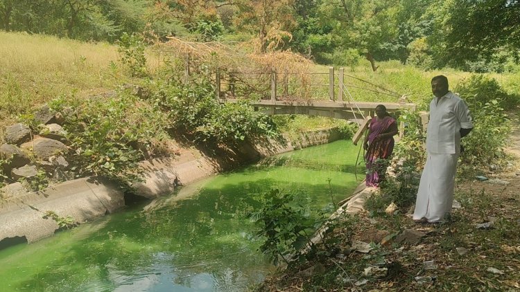 கே ஆர்.பி அணையில் இருந்து பாசனத்திற்காக செல்லும் தண்ணீர் பச்சை நிறத்தில் இருப்பதால் ஆய்விற்கு உட்படுத்த வேண்டும். !
