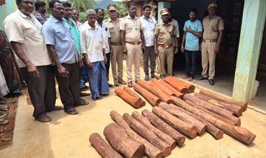 வாணியம்பாடி அருகே வீட்டில் பதுக்கி வைத்திருந்த ருபாய் 6 லட்சம் மதிப்பிலான 23 செம்மர கட்டைகள் பறிமுதல் .!