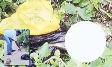 இளம் பெண்ணை கொலை செய்து உடல் பாகங்களை 5 இடங்களில் வீசியுள்ளனர், தலையை தேடும் பணி தீவிரம். !