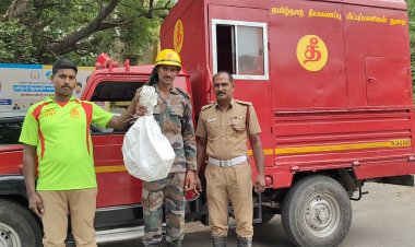 மரத்தில் ஏறி போக்கு காட்டிய 6  அடி நீளம் கொண்ட சாரைப் பாம்பினை தீயணைப்பு வீரர்கள் போராடி பிடித்தனர்.!