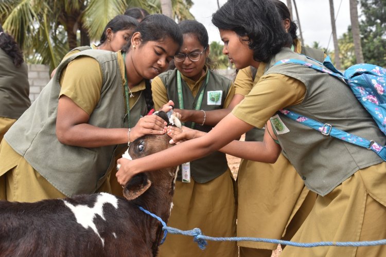 சூளகிரி அதியமான் வேளாண்மைக் கல்லூரி மாணவ மாணவிகள்  சார்பில் நாட்டு நலப்பணித் திட்டம் சார்பாக சிறப்பு முகாம் .!