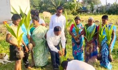 விவசாயம் செய்து வந்த நிலத்தில் வருவாய் துறையினர் தென்னங்கன்றுகளை சேதப்படுத்திய இடத்தில் மீண்டும் தென்னங்கன்றுகளை சமுக நுகர்வோர் பாதுகாப்பு நலச்சங்கத்தின் மாநில பொதுச் செயலாளர் டாக்டர் சந்திரமோகன் நடவு செய்தார்.!