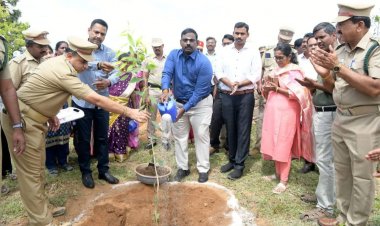 பசுமை தமிழ்நாடு தினத்தை முன்னிட்டு 1.5 லட்சம் மரக்கன்றுகள் நடும் பணிகளை துவக்கி வைத்த மாவட்ட ஆட்சியர். !