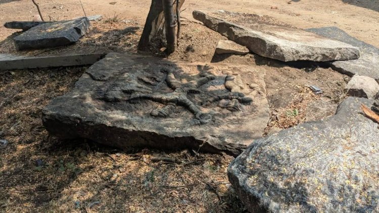 12 ஆம் நூற்றாண்டின் கங்கர் கலையமைதியில் புலிக் குத்திப் பட்டான் கல்  கண்டுபிடிப்பு .!