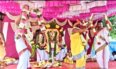 பேட்ராயசுவாமி கோவிலில் அருள்மிகு ஸ்ரீ தேவி, பூதேவி திருக்கல்யாண வைபோகம் வெகு விமர்ச்சியாக நடைபெற்றது.!