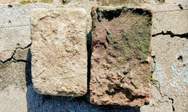 கிருஷ்ணகிரி வரலாற்று ஆய்வு மற்றும் ஆவணப்படுத்தும் குழு சார்பாக  ஆய்வு .!