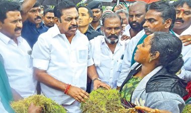 எதிர்கட்சி தலைவர் எடப்பாடியிடம் வயலில் முளைவிட்ட கதிரைத்தான் காட்டினேன் - தஞ்சாவூர் விவசாயி விளக்கம். !