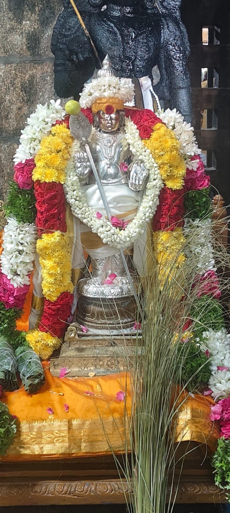 இலஞ்சி குமாரர் கோயிலில் கந்த சஷ்டி திருவிழா கொடியேற்றத்துடன் துவங்கியது .!