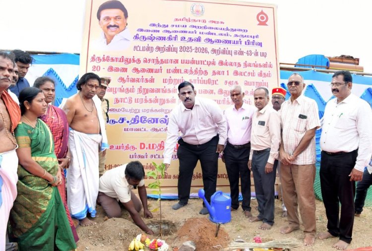 திருக்கோயிலுக்கு சொந்தமான பயன்பாட்டில் இல்லாத நிலங்களில் மரக்கன்றுகள் நடும் பணிகளை மாவட்ட ஆட்சியர் மரக்கன்றுகளை நட்டு துவக்கி வைத்தார்.