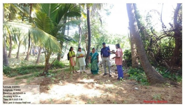 தென்காசி தோட்டக்கலைத் துறை சார்பில் தென்னை, மற்றும் வாழை பயிர் பாதுகாப்பு குறித்த விழிப்புணர்வு நிகழ்ச்சி.!