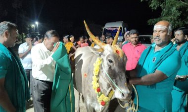 கணக்கம்பட்டி  சித்தர் பீடத்தில் உலக நன்மை வேண்டி கோ பூஜை.!