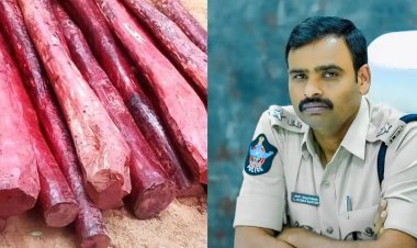 இந்த ஆண்டில் 35,476 கிலோ செம்மரம் பறிமுதல்: கடத்தல்காரர்களின் சொத்து ஜப்தி செய்யப்படும் -திருப்பதி எஸ்.பி.அறிவிப்பு. !