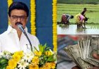பருவமழை காரணமாக நஷ்டமடைந்த விவசாயில் வங்கி கணக்கில் இழப்பீட்டு தொகை, பொங்கல் நாளில் விவசாயிகளுக்கு மகிழ்ச்சி கொடுத்த முதலமைச்சர் மு.க.ஸ்டாலின். !