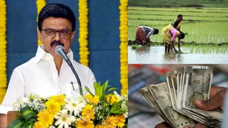 பருவமழை காரணமாக நஷ்டமடைந்த விவசாயில் வங்கி கணக்கில் இழப்பீட்டு தொகை, பொங்கல் நாளில் விவசாயிகளுக்கு மகிழ்ச்சி கொடுத்த முதலமைச்சர் மு.க.ஸ்டாலின். !