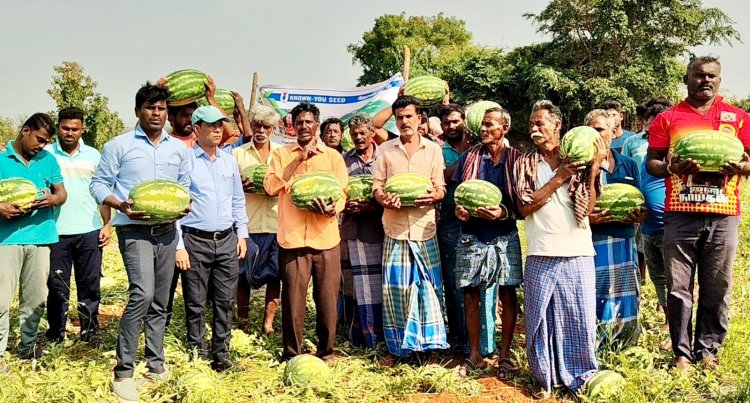 தைவான் நாட்டை சார்ந்த சுப்ரித் என்ற தர்பூசணி விதை விதைத்ததில் விளைச்சல் அதிகரிப்பு. !
